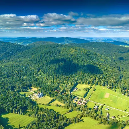 Miodowa Klinika - Centrum Dlugowiecznosci Kamianna